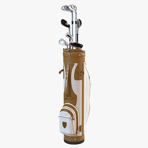 Golf Bag and Clubs 3