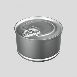 3D realistic tin model
