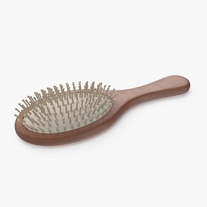 Dark Wooden Hairbrush model