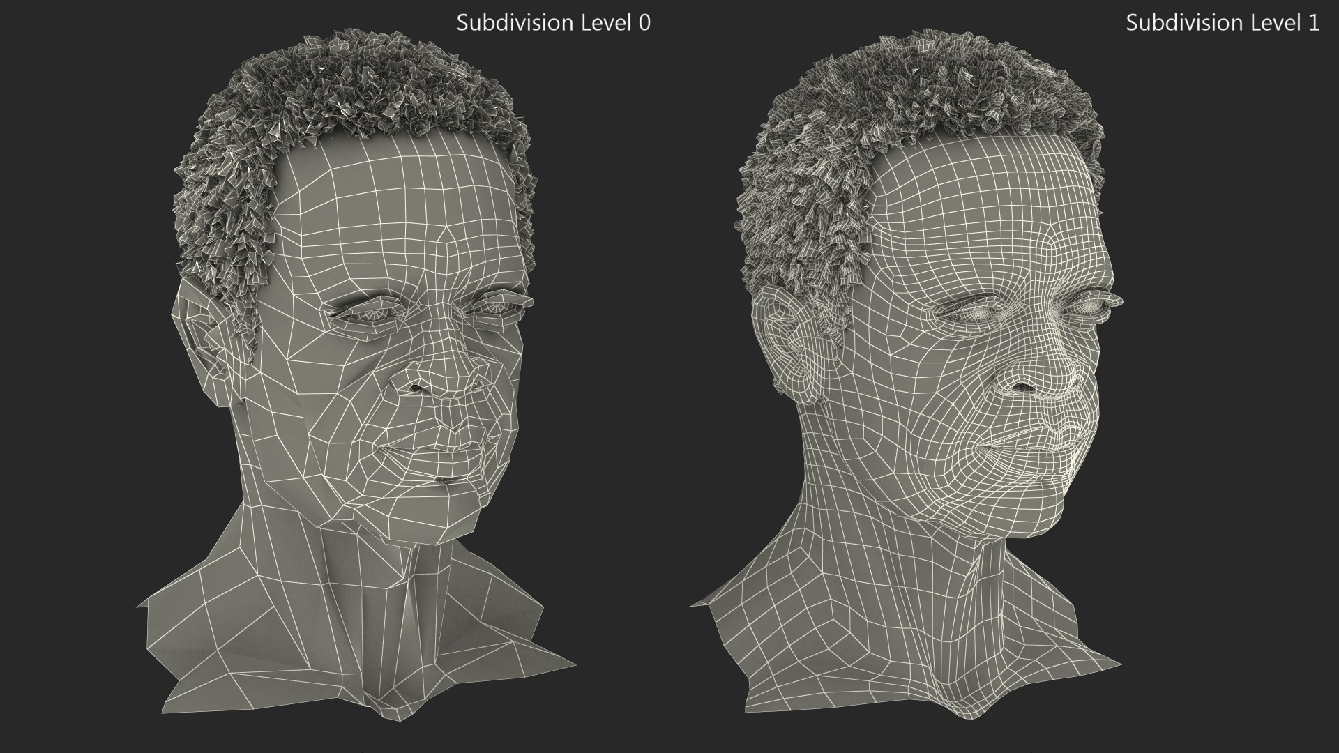 Afro American Grandpa Head 3D https://p.turbosquid.com/ts-thumb/Jj/nkU84Y/2i/afroamericangrandpahead3dmodel014/jpg/1673914759/1920x1080/fit_q87/17fd325071b2be13ff7fd4be1e1d3a3d9a0f3d26/afroamericangrandpahead3dmodel014.jpg