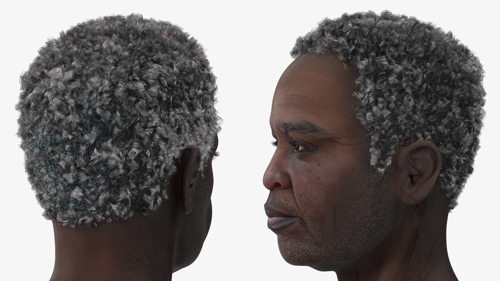 Afro American Grandpa Head 3D https://p.turbosquid.com/ts-thumb/Jj/nkU84Y/4L/afroamericangrandpahead3dmodel011/jpg/1673914748/1920x1080/fit_q87/7d6e2ff7b4cde5822f8473ac9897b23fd1636e3c/afroamericangrandpahead3dmodel011.jpg