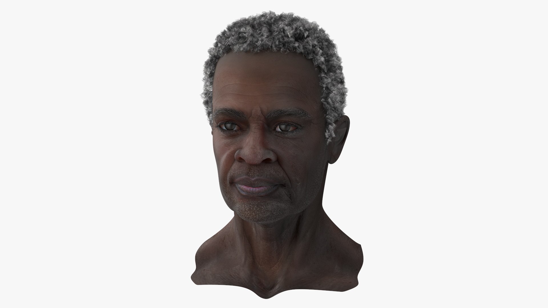 Afro American Grandpa Head 3D model preview