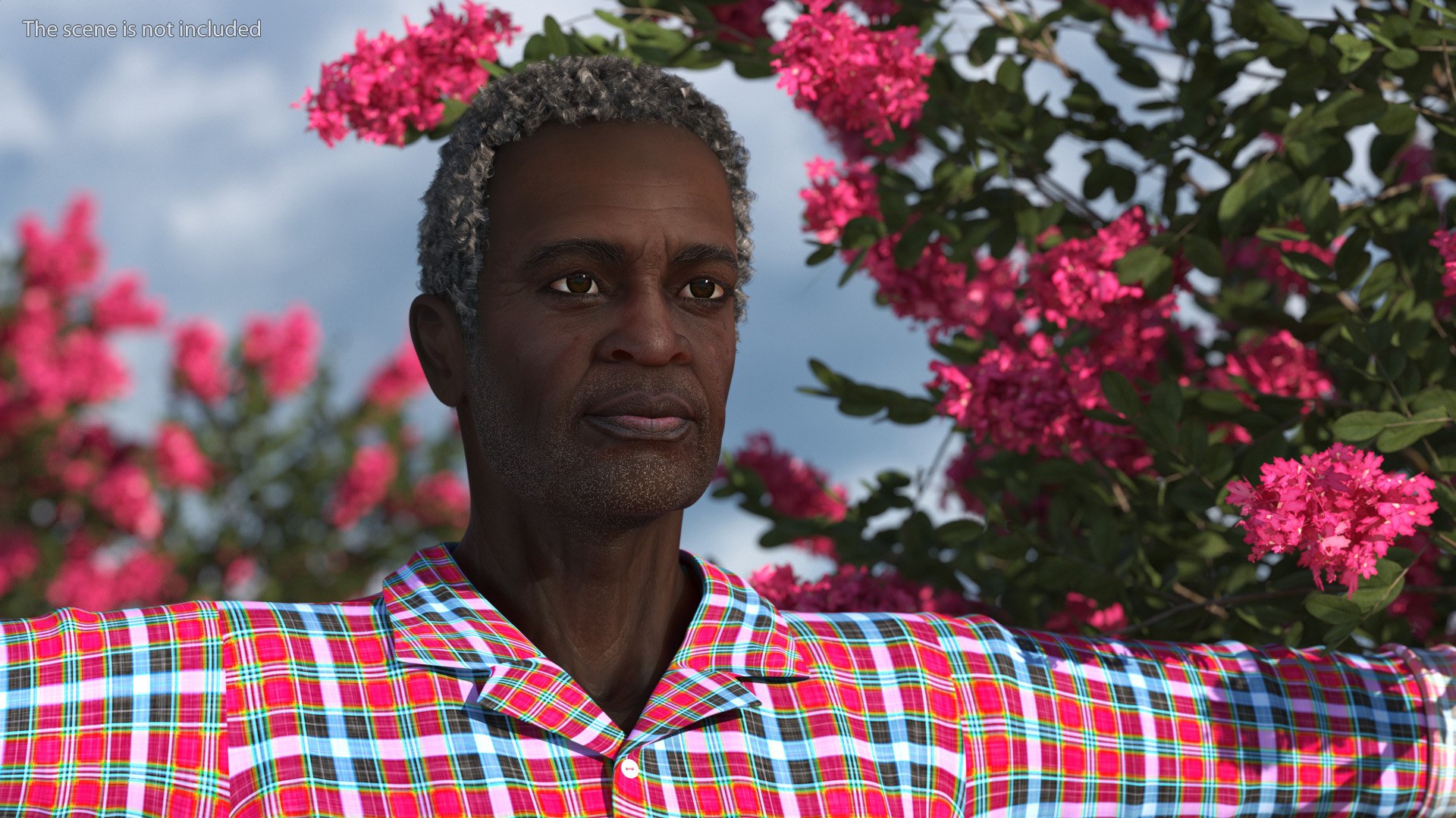 Afro American Grandpa Head 3D https://p.turbosquid.com/ts-thumb/Jj/nkU84Y/ss/afroamericangrandpahead3dmodel005/jpg/1673914725/1920x1080/fit_q87/d9d7b776ac0d17d17ac30610429248d54373e172/afroamericangrandpahead3dmodel005.jpg
