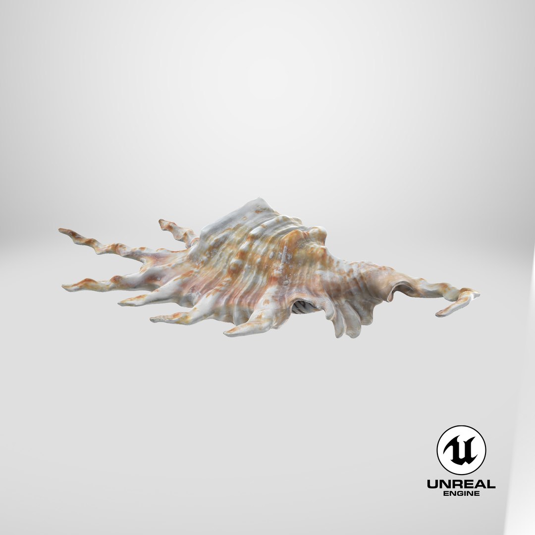 Scorpion Spider Conch 3D model https://p.turbosquid.com/ts-thumb/Jj/rYvfut/GM/stemcell_unreal_render/png/1700209861/1920x1080/fit_q87/e50cc6837067764aba488c4d7888b4b275f05dfc/stemcell_unreal_render.jpg