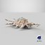 Scorpion Spider Conch