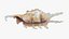 Scorpion Spider Conch