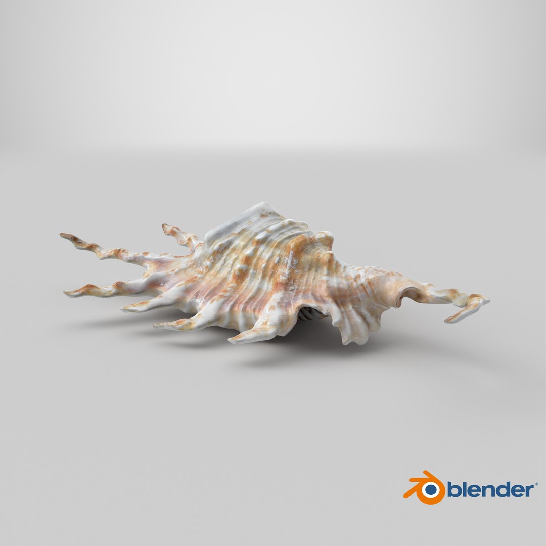Scorpion Spider Conch 3D model https://p.turbosquid.com/ts-thumb/Jj/rYvfut/xg/stemcell_blender_cycles_render/png/1700209845/1920x1080/fit_q87/dc0af7069b361e344d2884aa9a363b11bb4d3245/stemcell_blender_cycles_render.jpg