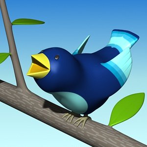 bird