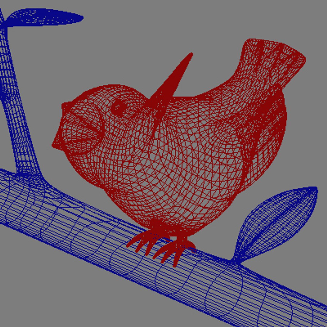 Max Small Bird
