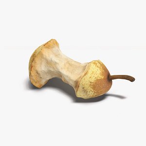 pear stub 3D