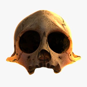 skull monkey 3d model
