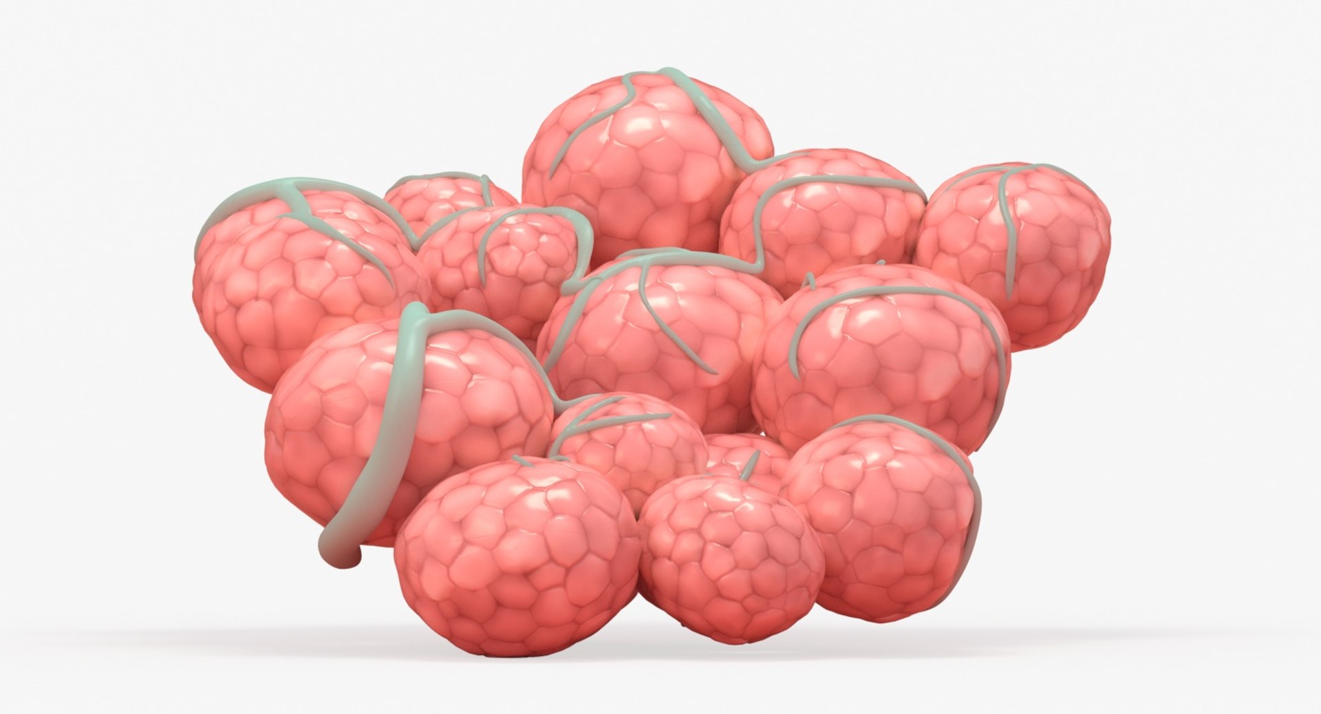 3D mammary gland model https://p.turbosquid.com/ts-thumb/Jk/8eslVl/liBNhfna/13_front_view/jpg/1544039873/1920x1080/fit_q87/aea3f7954a29967f6cfd8cad07db72a00d5160f8/13_front_view.jpg