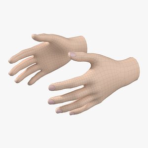 3D model Female Hand Base Mesh 02