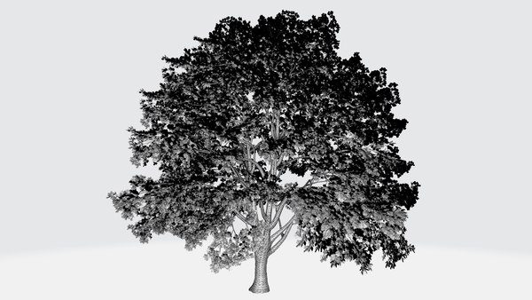Large tree 3D 모델 - TurboSquid 1955959