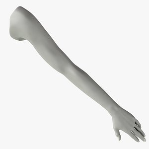 arm 3D model