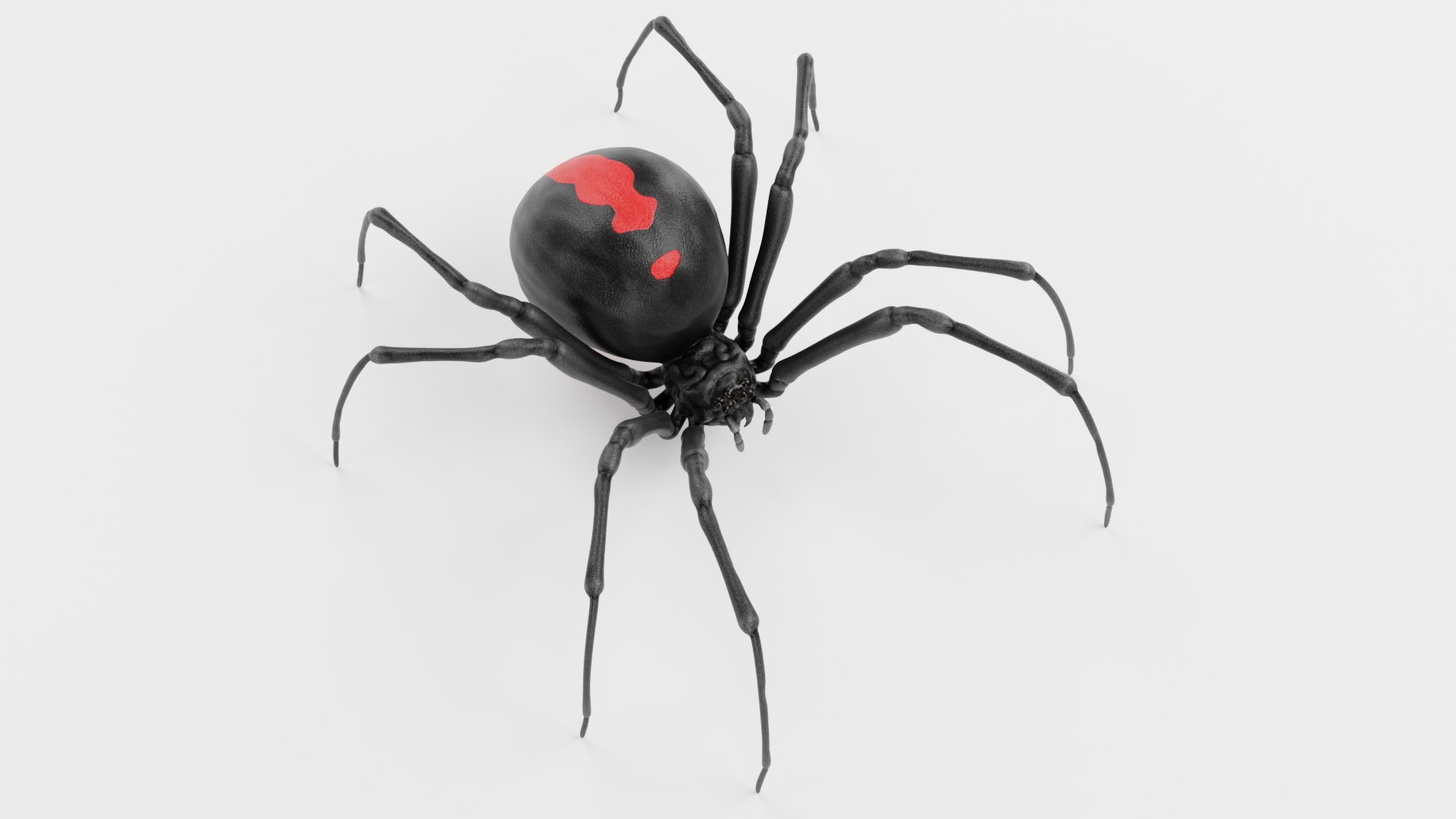Black Widow Spider 3D https://p.turbosquid.com/ts-thumb/Jk/UVi2be/96/blackwidowb/png/1747130780/1920x1080/fit_q87/1ba0b4b1ef1788b114eec39073aa37484c45054a/blackwidowb.jpg