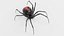 Black Widow Spider 3D