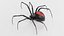 Black Widow Spider 3D