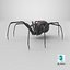 Black Widow Spider 3D