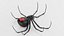 Black Widow Spider 3D