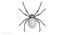 Black Widow Spider 3D