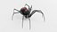 Black Widow Spider 3D