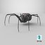 Black Widow Spider 3D