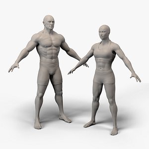 Male  Female Basemesh Muscular 3D model
