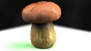 mushroom 3d model