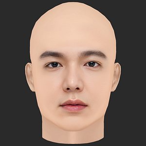 Low Poly Lee Min Ho Head