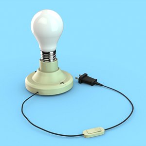 CFL bulb with holder and switch