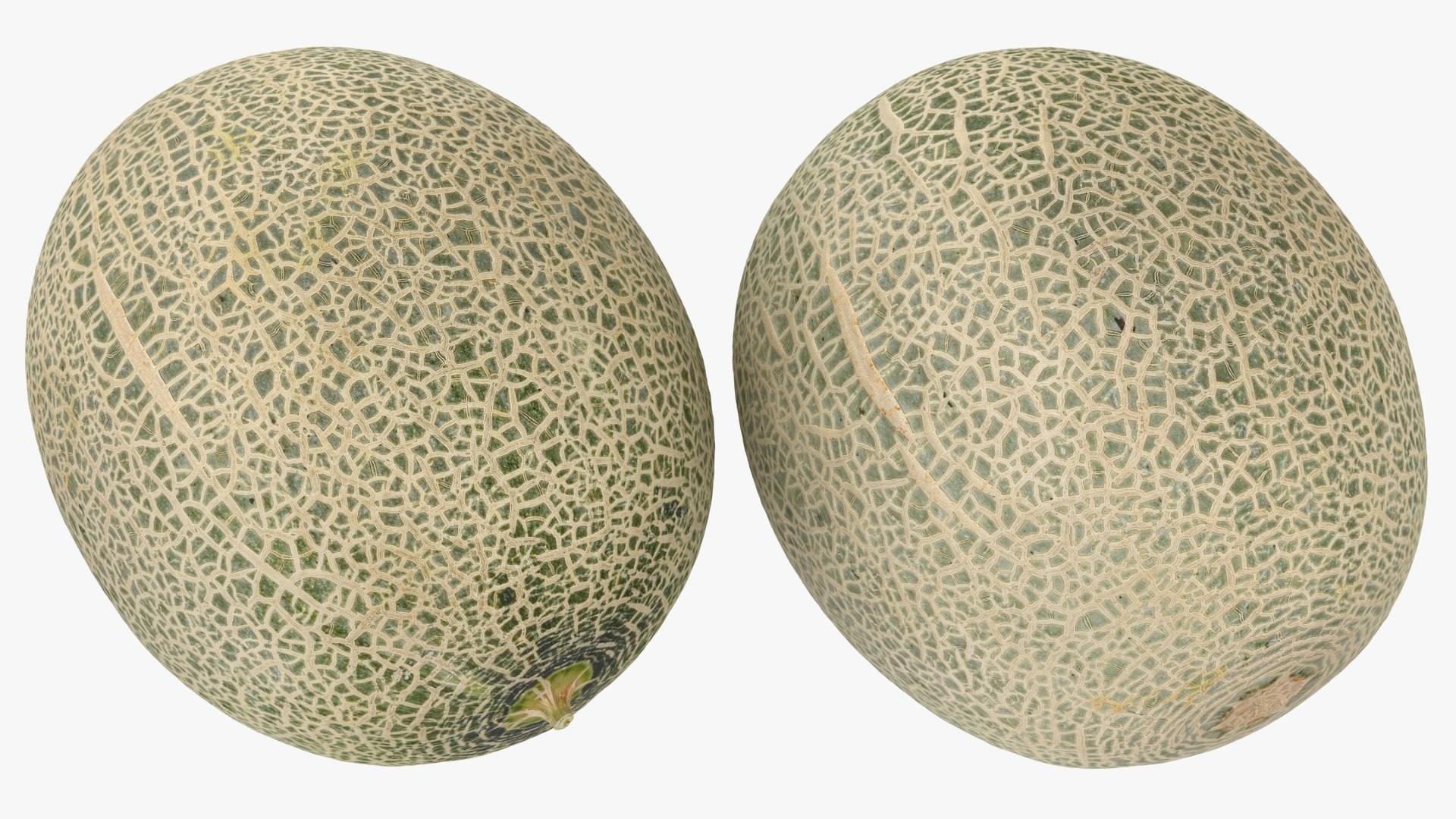 Whole Fruit Collection 3 3D model https://p.turbosquid.com/ts-thumb/Jk/pKqrRV/4f/greenmelon_a0002/jpg/1661963507/1920x1080/fit_q87/f081322635b2a783d1d7f327d76a5633485d7bb0/greenmelon_a0002.jpg