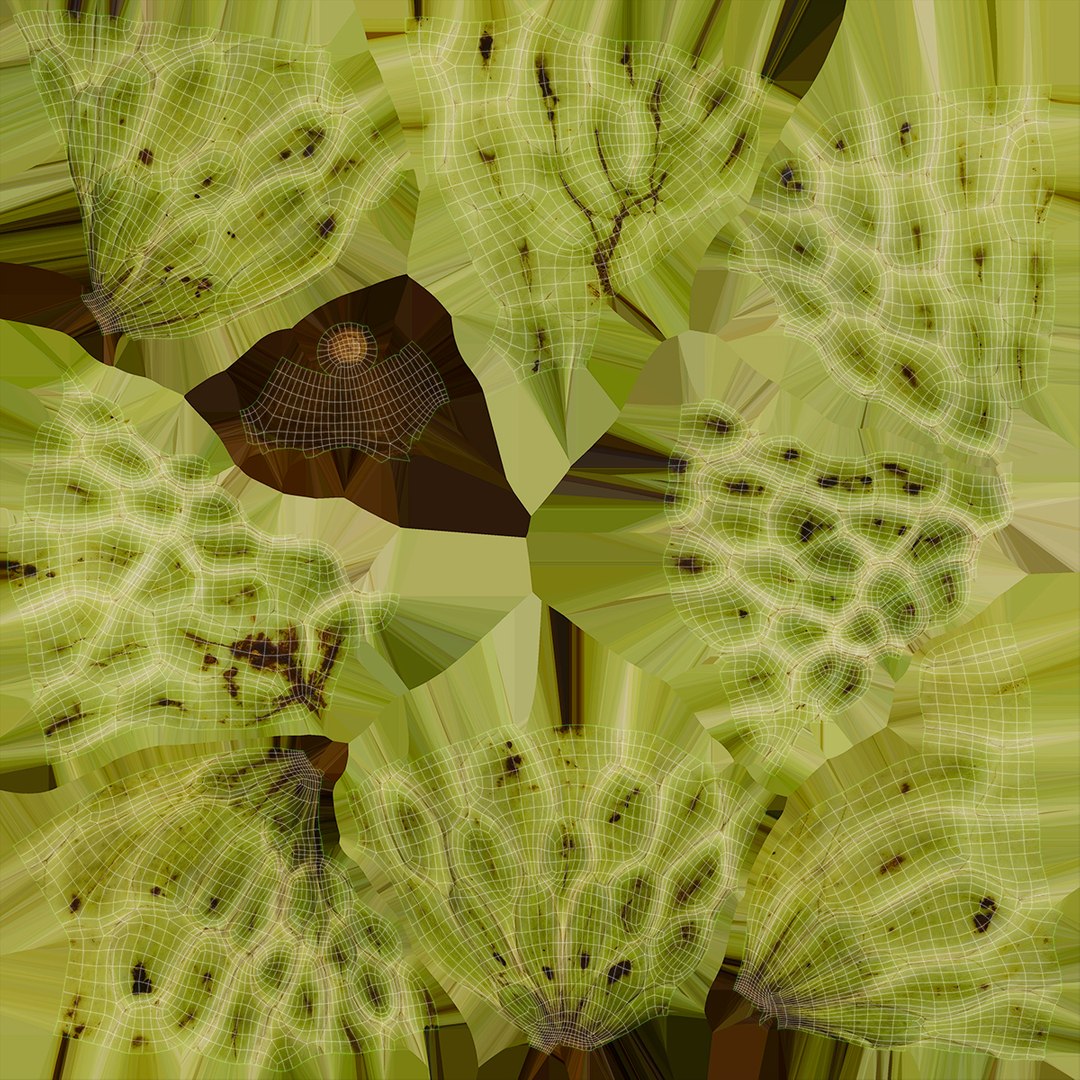 Whole Fruit Collection 3 3D model https://p.turbosquid.com/ts-thumb/Jk/pKqrRV/Ih/cherimoya_f0004/jpg/1661963424/1920x1080/fit_q87/bd05925d4c038c45e2005d94f469dcf3f04ebf48/cherimoya_f0004.jpg