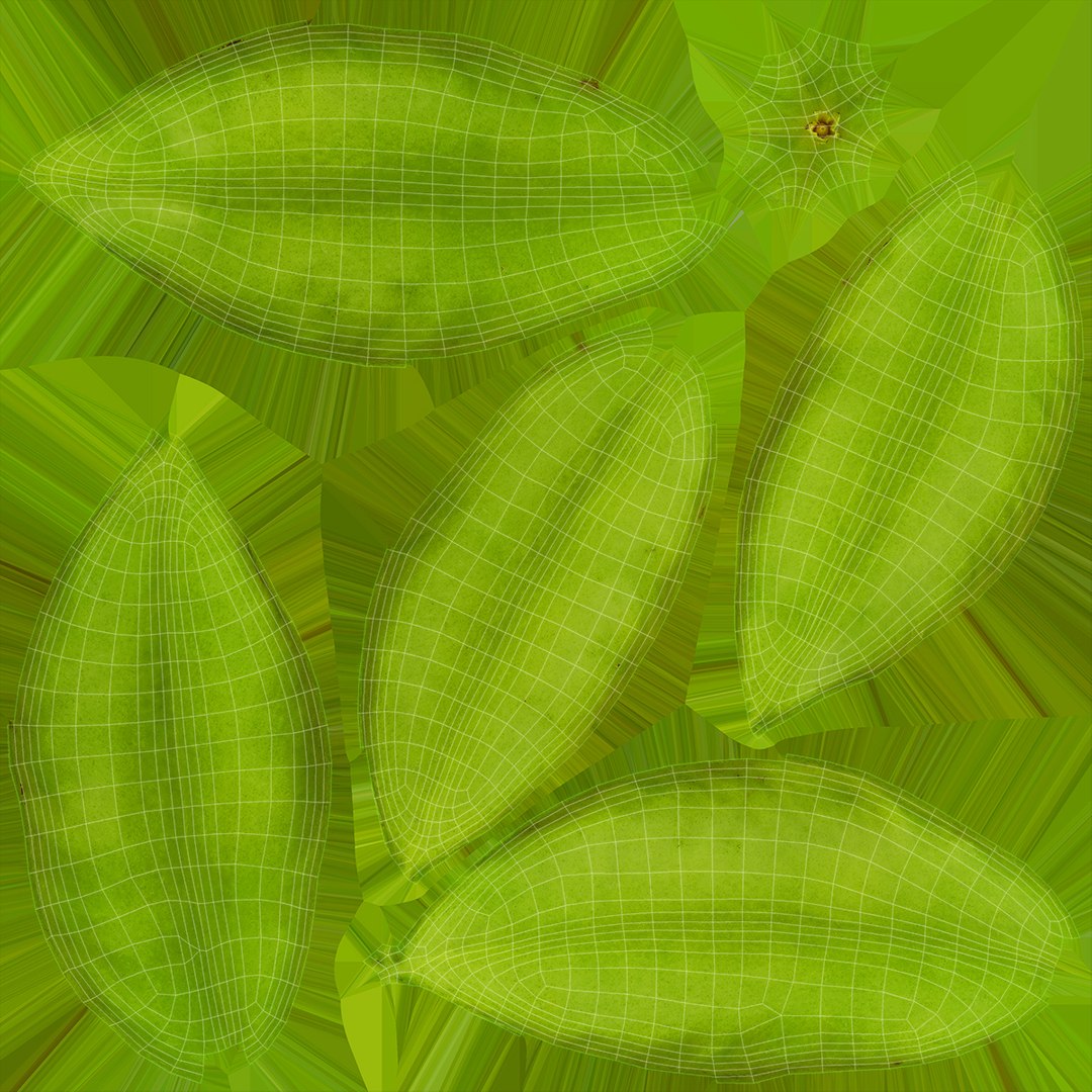 Whole Fruit Collection 3 3D model https://p.turbosquid.com/ts-thumb/Jk/pKqrRV/YN/starfruit_f0004/jpg/1661965023/1920x1080/fit_q87/21e1148b4ad7b99fc96d06cf675a7211f19c9df8/starfruit_f0004.jpg