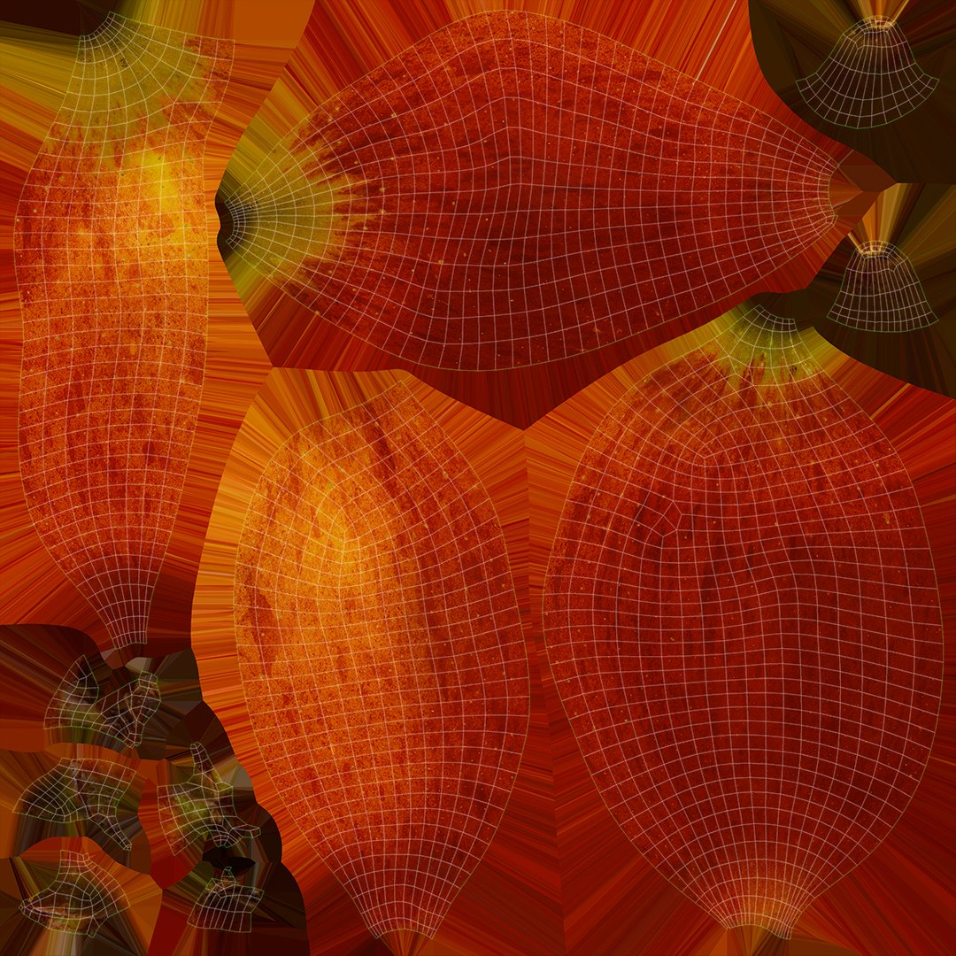 Whole Fruit Collection 3 3D model https://p.turbosquid.com/ts-thumb/Jk/pKqrRV/aJ/apple_f0004/jpg/1661963336/1920x1080/fit_q87/c9e2b3e04a9e0112aefdfa704c875da49231d6e6/apple_f0004.jpg