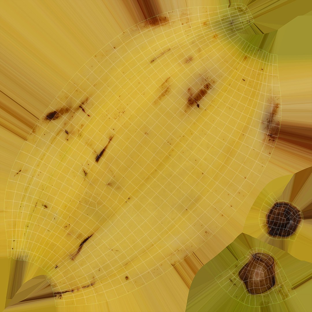 Whole Fruit Collection 3 3D model https://p.turbosquid.com/ts-thumb/Jk/pKqrRV/gU/banana01f0003/jpg/1661963391/1920x1080/fit_q87/6767c9eb5dbe5fcb1c81fb8a1930981942129b92/banana01f0003.jpg