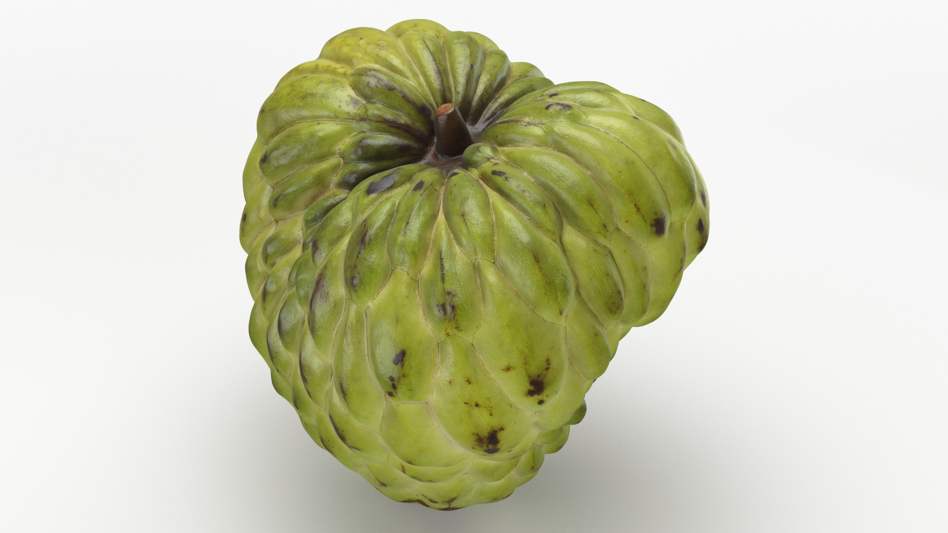 Whole Fruit Collection 3 3D model https://p.turbosquid.com/ts-thumb/Jk/pKqrRV/jw/cherimoya/jpg/1661963431/1920x1080/turn_fit_q99/68255ec5ecfcf5869e9e3abf76adc9113c1fdd9a/cherimoya-1.jpg