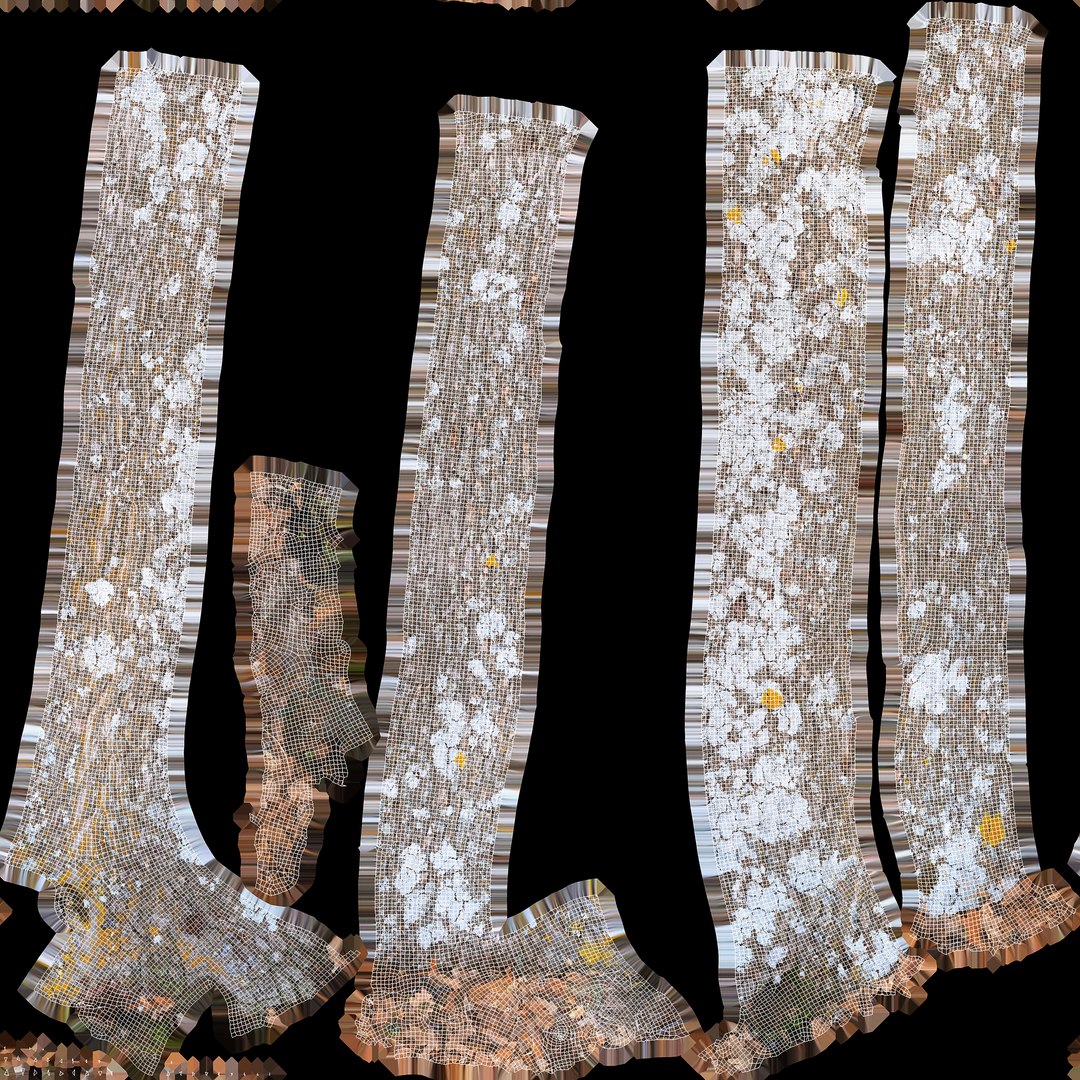 High Quality Scan Pubescent Oak Trunk - 1 3D - TurboSquid 2207984