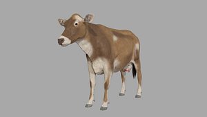 3D cattle model