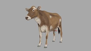 cattle