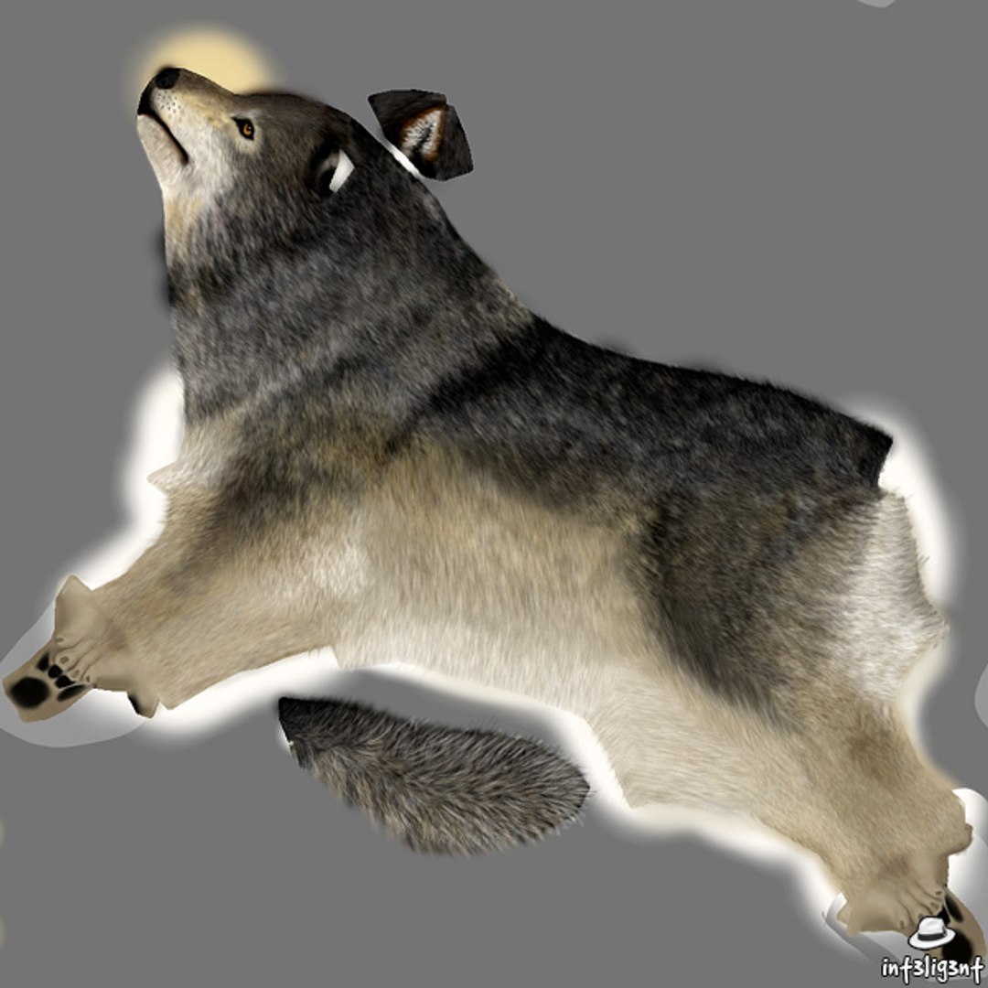 wolf edge loop 3d model