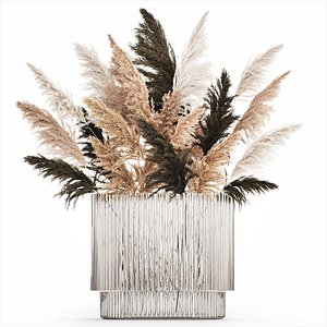 3D Beautiful Bouquet Dried Flowers Cortaderia Pampas 487 model