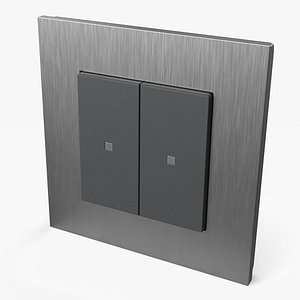 Double Rocker Switch  Silver Plate 3D model