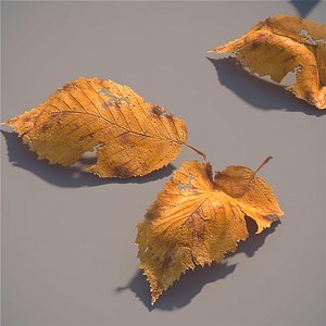 3d autumn leaves