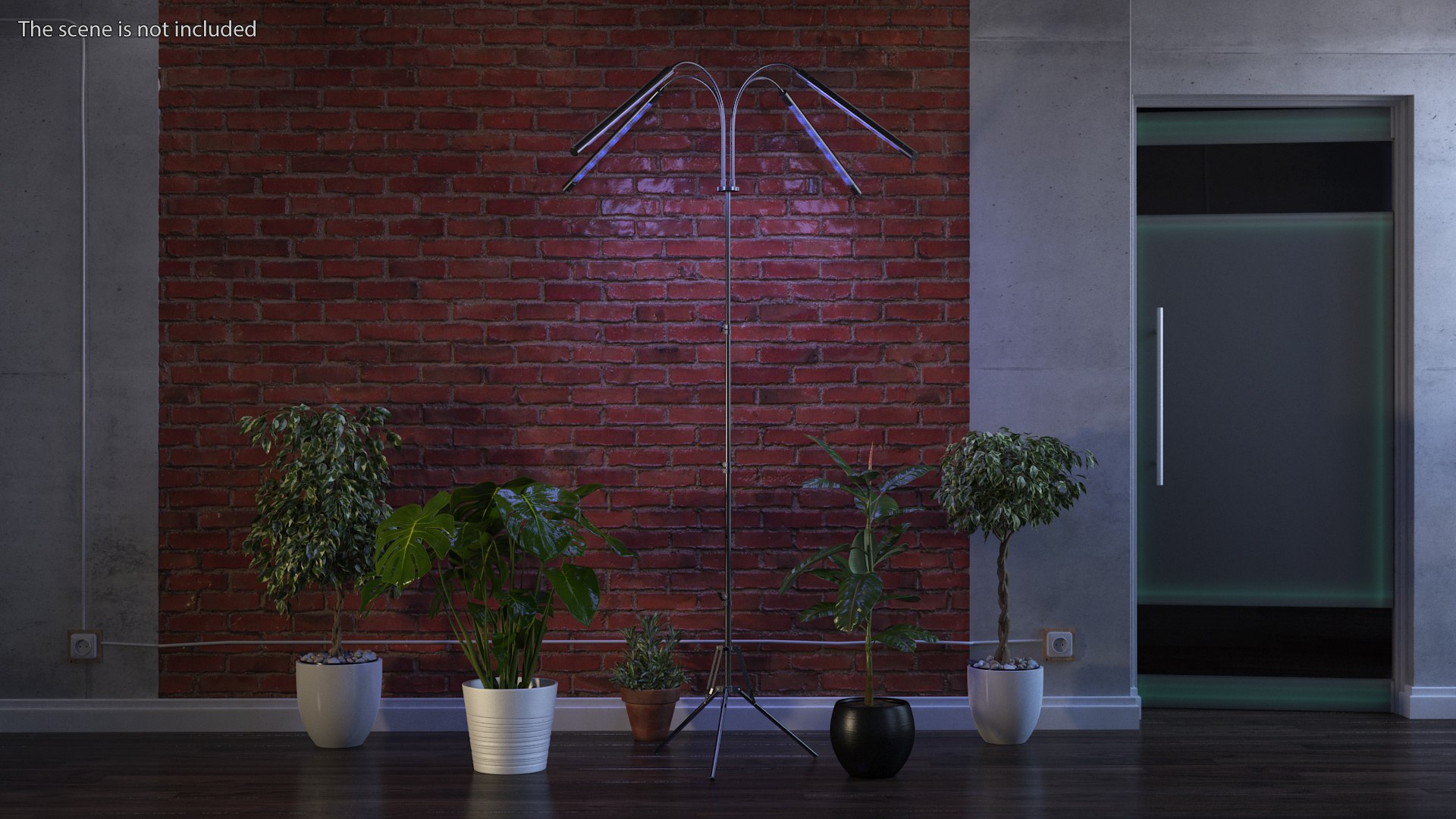 3D model Frenan Grow Light with Stand Blue https://p.turbosquid.com/ts-thumb/Jl/D5Rvmr/Pr/frenangrowlightwithstandbluec4dmodel002/jpg/1699997852/1920x1080/fit_q87/b3f544f7f5a69177aa50e2e97282788abaa07ba1/frenangrowlightwithstandbluec4dmodel002.jpg