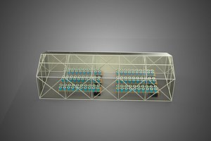 CEA CONTROLLED ENVIRONMENT AGRICULTURE DUTCH BUCKET SYSTEM DBS