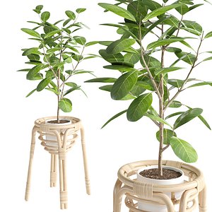 BUSKBO Plant stand model