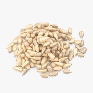 Peeled Sunflower Seeds Pile