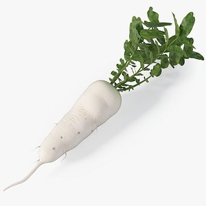 3d model realistic white radish real