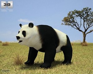 Panda Bear 3ds Max Models for Download | TurboSquid